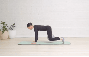 Recovery Fusion Class 8